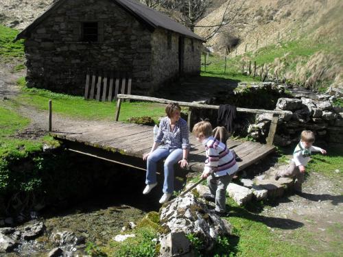 Logis Hôtel Andreinia & Cabanes