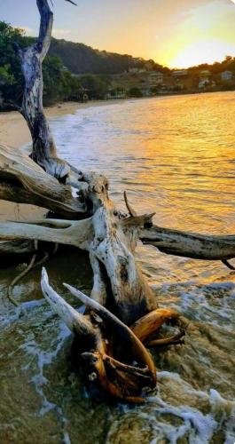 The Seaview Villa in Canouan Island