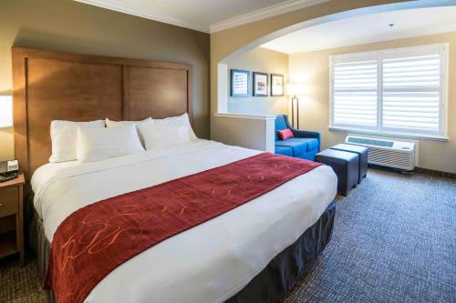 King Suite