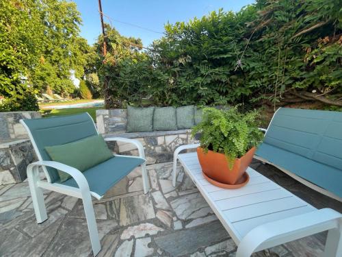 Nest of the Dao ninho do dão (Nest of the Dao ninho do dao) in วิมิเอย์โร