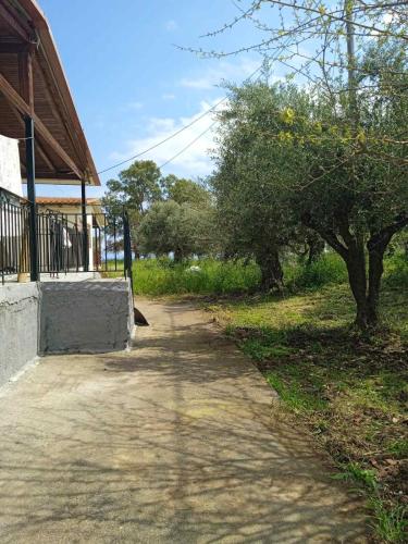 Niki's House Niki's House