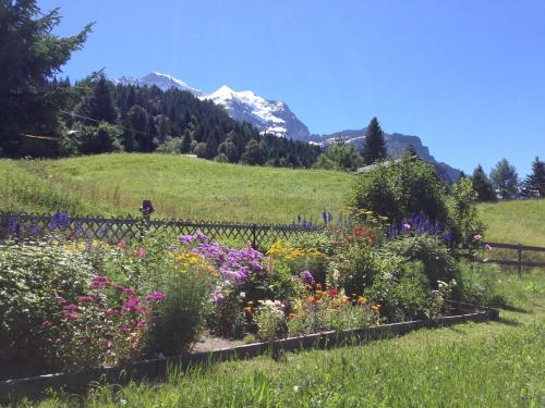 Staubbachbänkli - Apartment - Wengen