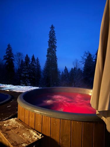 Foxslid in 斯拉夫西克