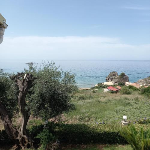 Lidovois House - image 12