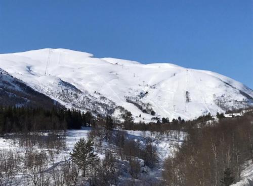 HyttaMi, Stranda (foto 7)