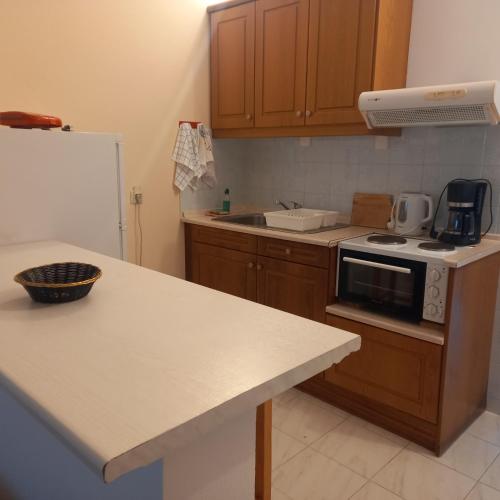 Lidovois House - image 11