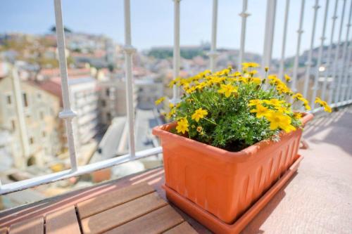Lisbon Martim Moniz Apartment - image 7