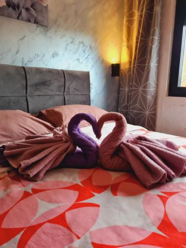 One-Bedroom Apartment image 10