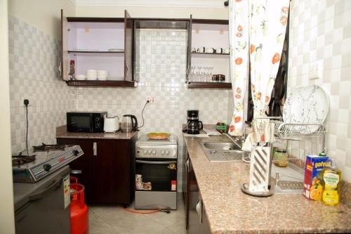 IE Luxury Apartments - image 3