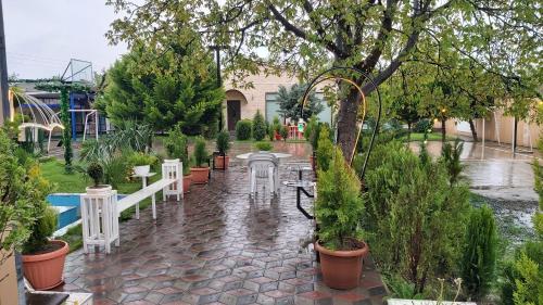 Green Land in Alexeevka Selo