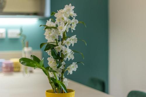 Appartamento in corte privata doppio parcheggio gratuito, Bologna (foto 8)