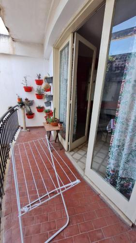 El Chabot Fan in Salta