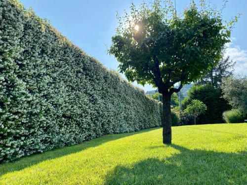 Pozzo Di Mezzo B&B, Bolonia (zdjęcie 7)