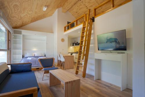 Deluxe Apartment