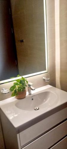 Two-Bedroom Apartment image 10