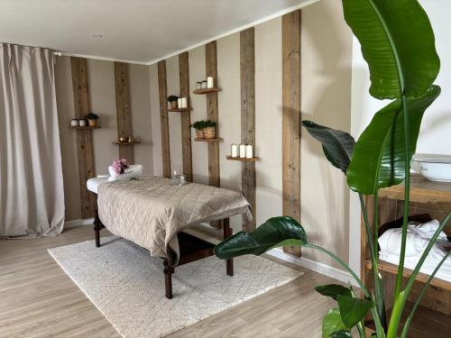 Authentic Travellers Suite Authentic Travellers Suite