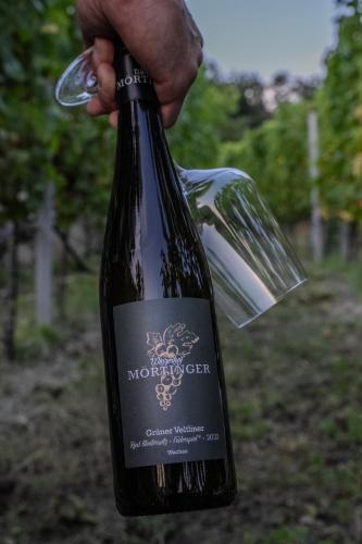Mediu înconjurător, Winzerhof Mörtinger (Winzerhof Mortinger) in Durnstein