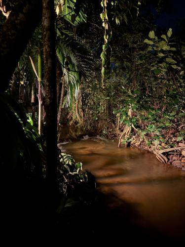 Jardín, Water Pearl in Hanwella