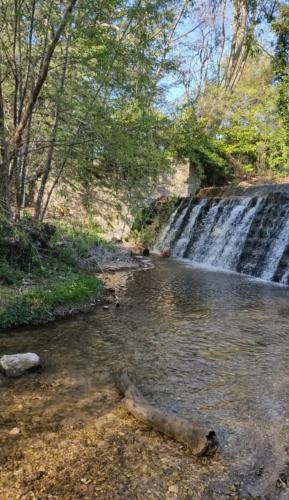Une petite maison dans un quartier calme dans la zone verte proximité tous commerces - Location saisonnière - Carpentras