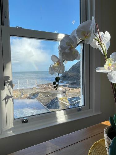 The View, Ilfracombe (fotografie 6)