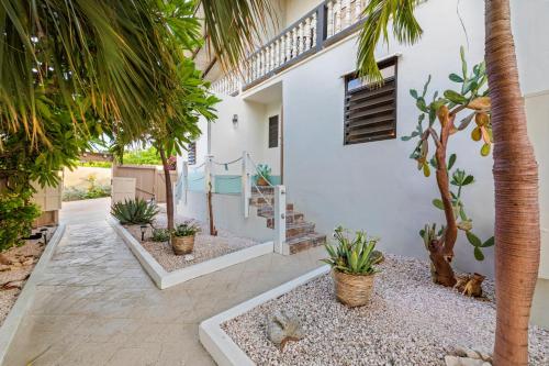 外觀, Casa Bohemian Curacao in 班達阿布