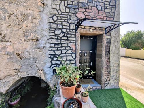 QT 8 -Casa Amazonia Portugal in คอนเด็กซา อา โนวา