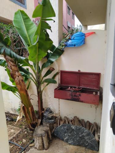 Facilities, Wish is Bouzid in Sidi Bouzid