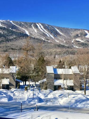 Initial - the chalet - MSA SKI IN and OUT