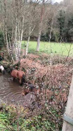 Casa Grande de Covas-Apartamentos Turísticos