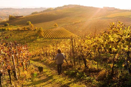 Agriturismo Albarossa