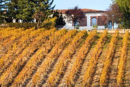 Agriturismo Albarossa