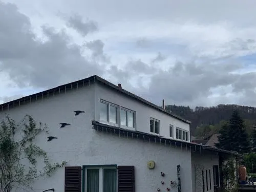Rosenstufen in Heimbach, Deutschland