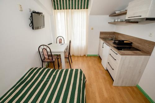One-Bedroom Apartment image 9