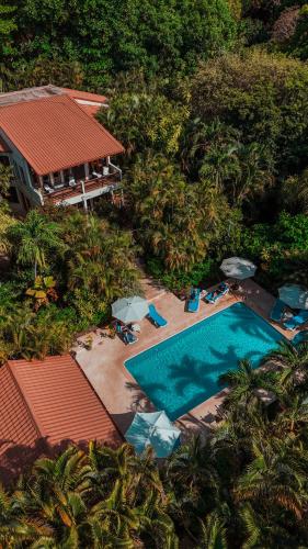 Hotel Villa Del Sol in Coco