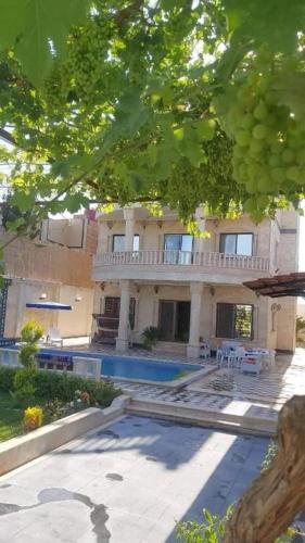 الزئبق فارم (الزئبق فارم) in 阿爾阿茲拉克阿什沙馬利