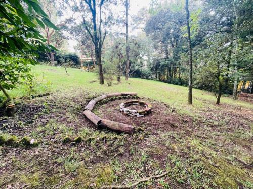 حديقة, Cabaña conecta (Cabana conecta) in Real Montecassino