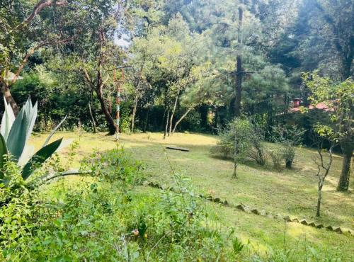 المنطقة المحيطة, Cabaña conecta (Cabana conecta) in Real Montecassino