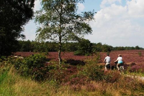 Verblijf in de Veluwe met Privé sanitair LL54, Putten (fotografie 5)