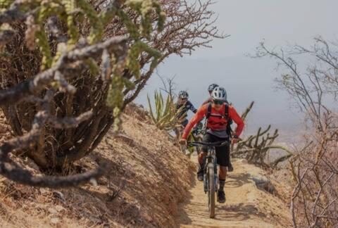 Cozy Ranch Cabin in La Joya (TX)