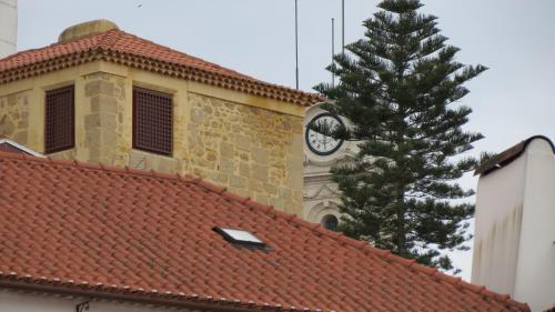 Santa Cruz - image 5