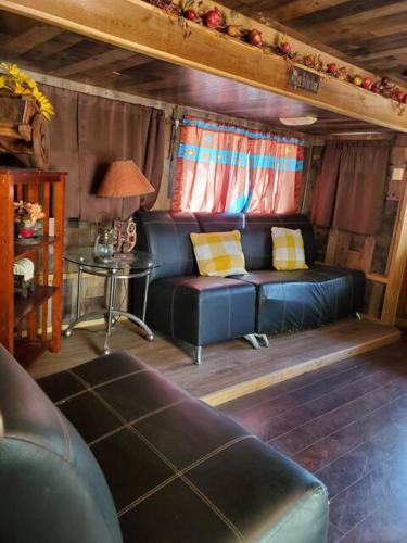 Peaceful Ranch Cabin in La Joya (TX)