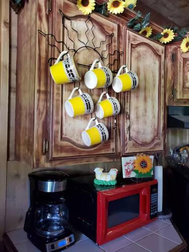 Peaceful Ranch Cabin in La Joya (TX)