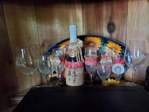 Peaceful Ranch Cabin in La Joya (TX)