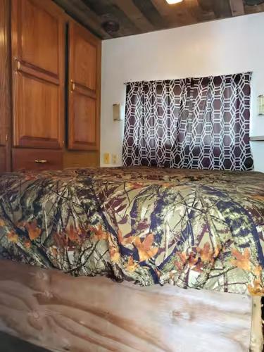 Peaceful Ranch Cabin in La Joya (TX)