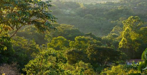 Cerrado Lodge