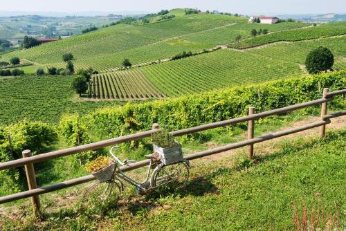 Agriturismo Albarossa