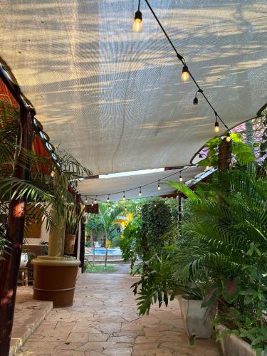 Quinta Rosita in 蒂古爾