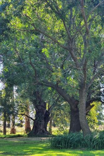 Kilátás, El Rancho - Hospedaje Rural in Navarro