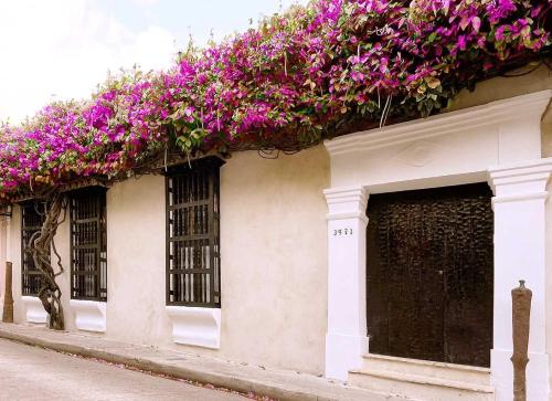 Casa Bovedas Collection