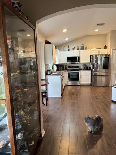 Ruskin FL 2 bdrm 1 bath suite Host & Cat share common areas detail